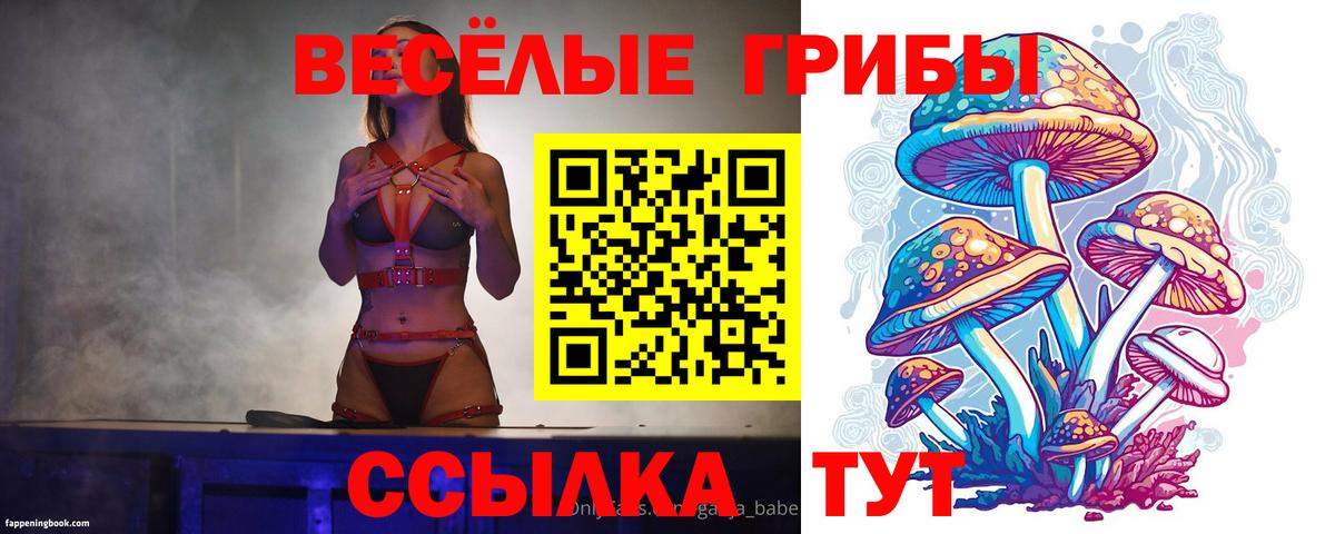 хочу наркоту  Псилоцибиновые грибы MAGIC MUSHROOMS  Вход с VPN  Коломна 